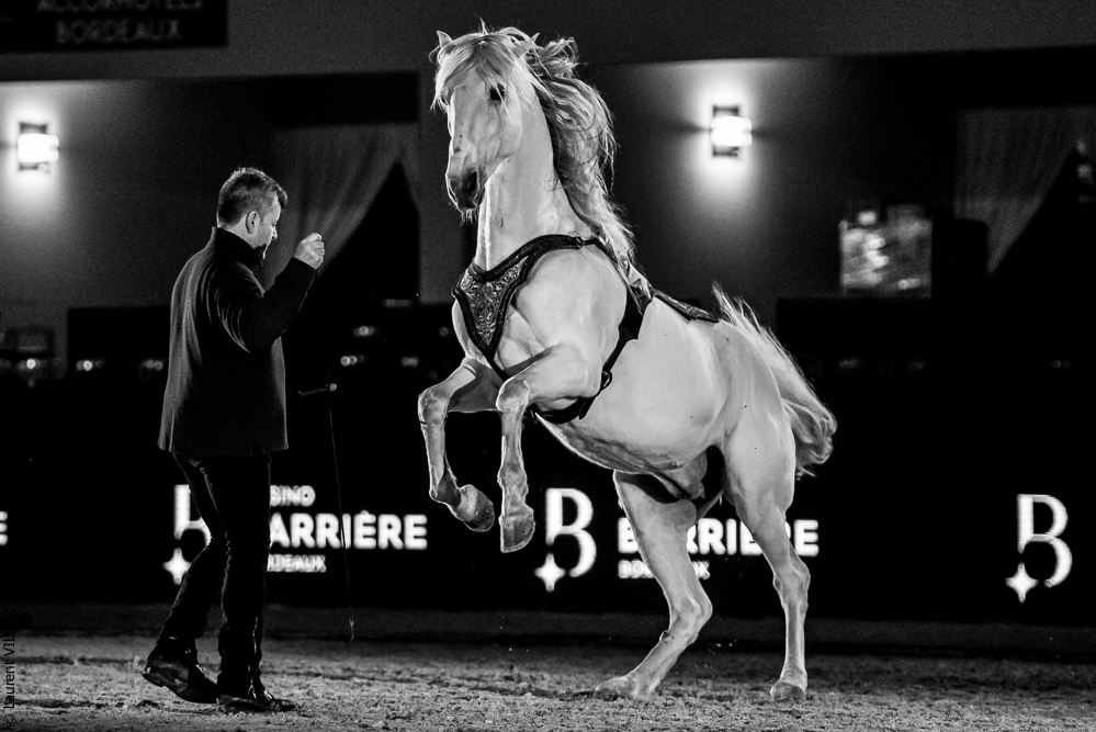 Nuit Iberique 20190206-0961