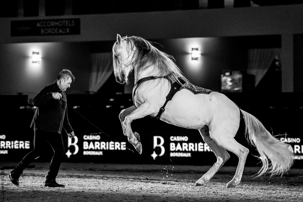 Nuit Iberique 20190206-0963