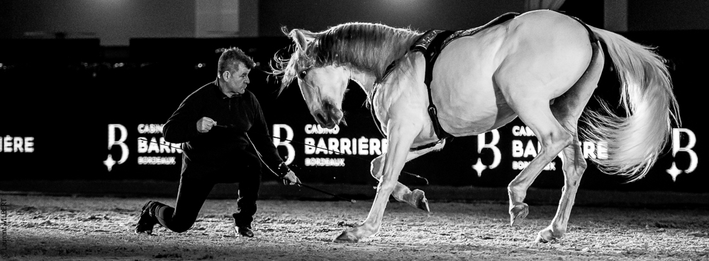 Nuit Iberique 20190206-0974