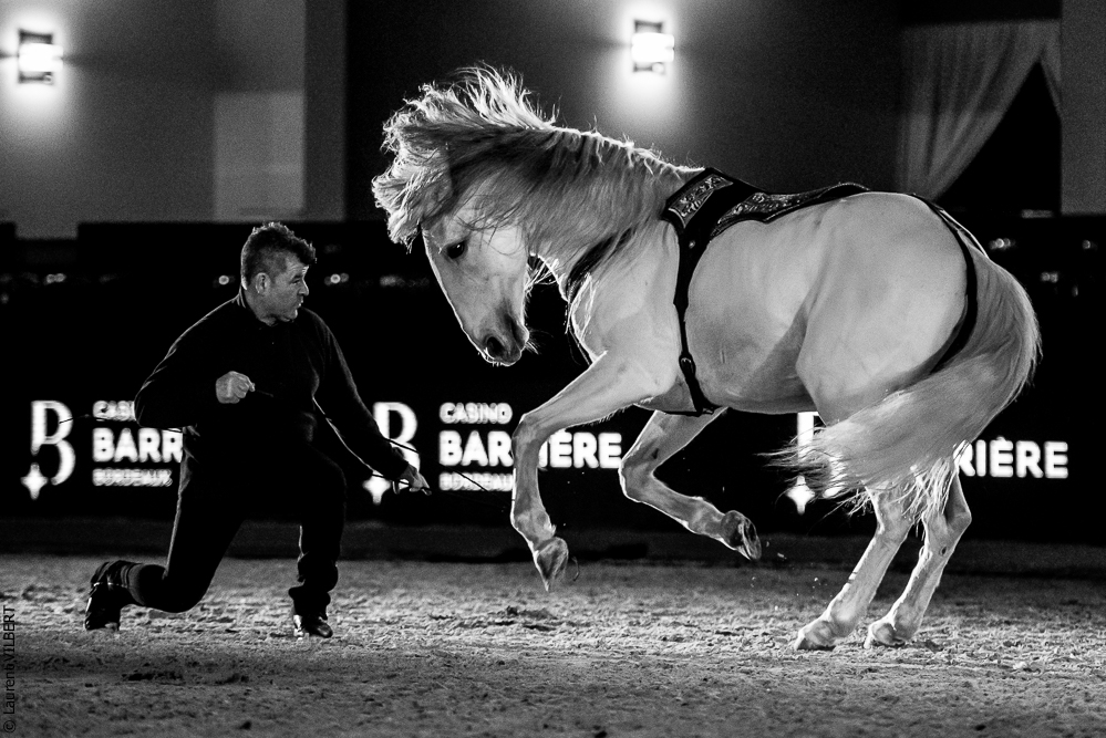 Nuit Iberique 20190206-0976