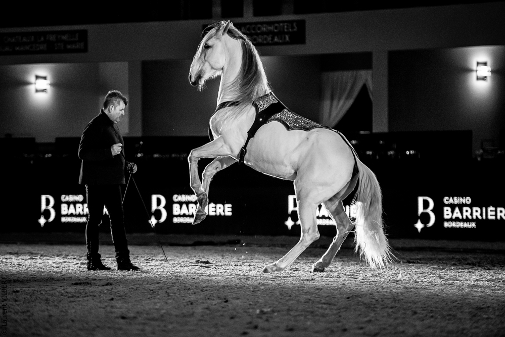 Nuit Iberique 20190206-0978