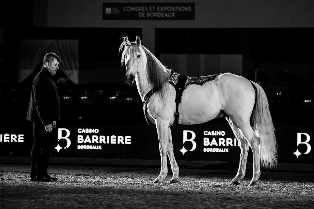 Nuit Iberique 20190206-0986