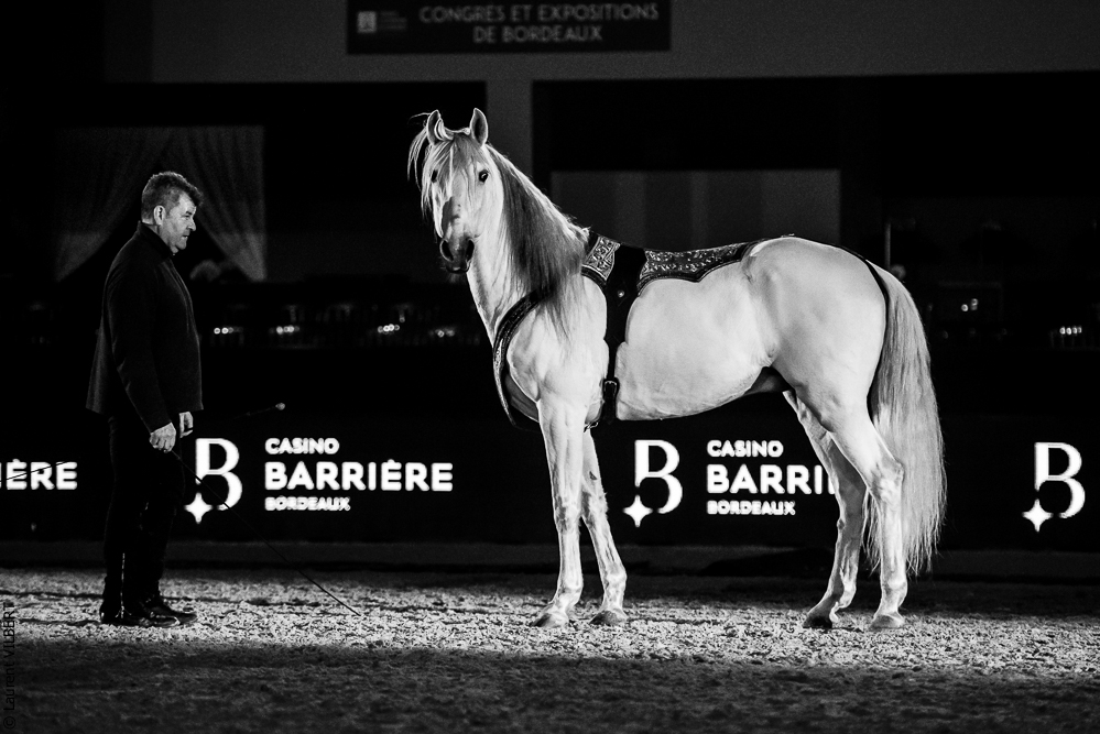 Nuit Iberique 20190206-0987