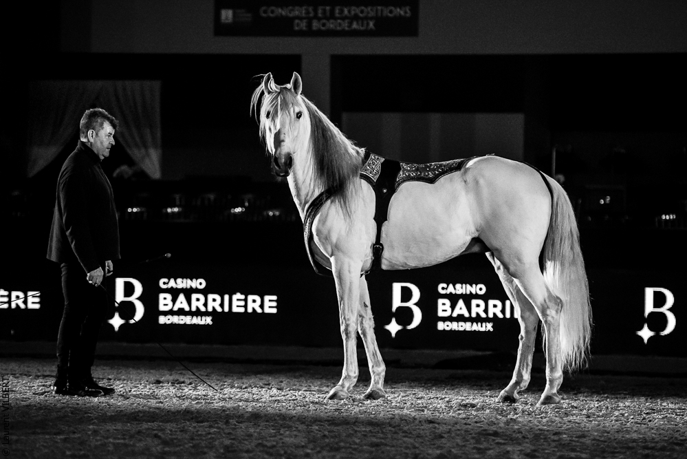 Nuit Iberique 20190206-0988