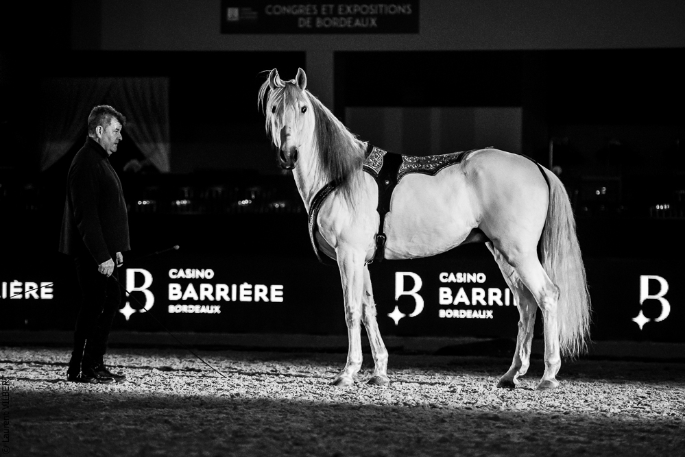 Nuit Iberique 20190206-0989