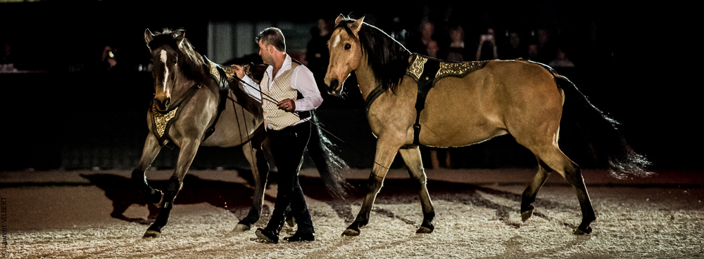 Nuit Iberique 20190207-2119