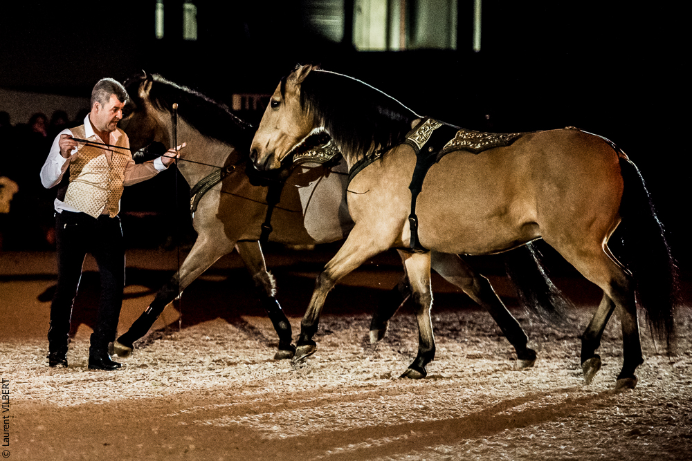 Nuit Iberique 20190207-2124