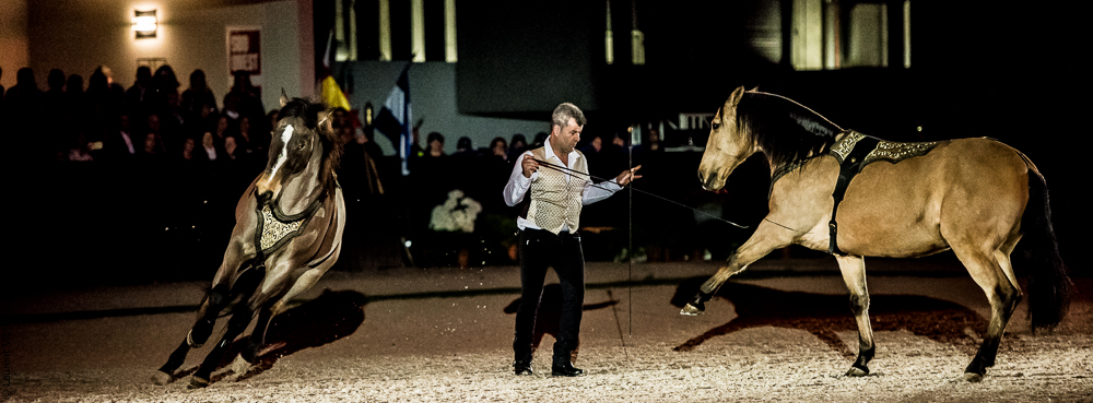 Nuit Iberique 20190207-2127