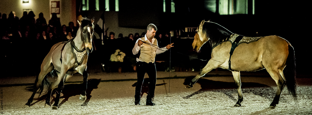 Nuit Iberique 20190207-2128