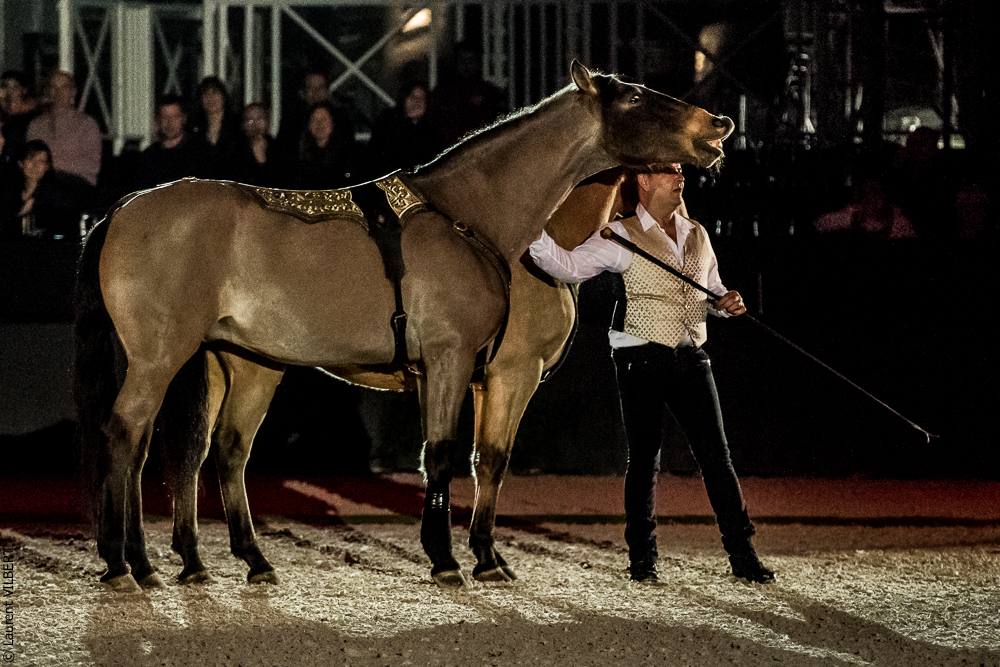 Nuit Iberique 20190207-2131