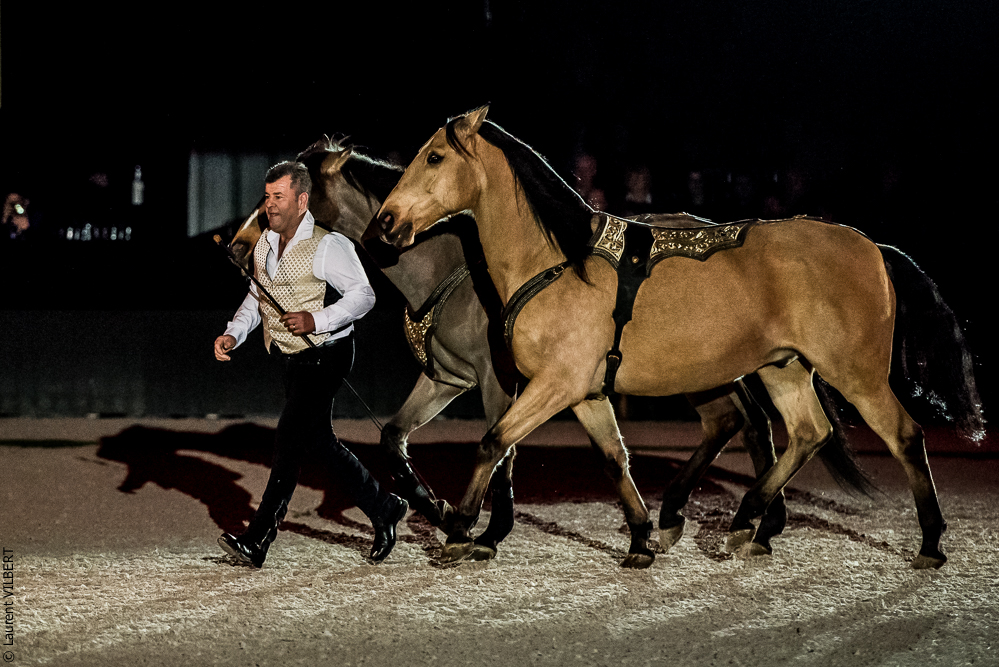 Nuit Iberique 20190207-2136