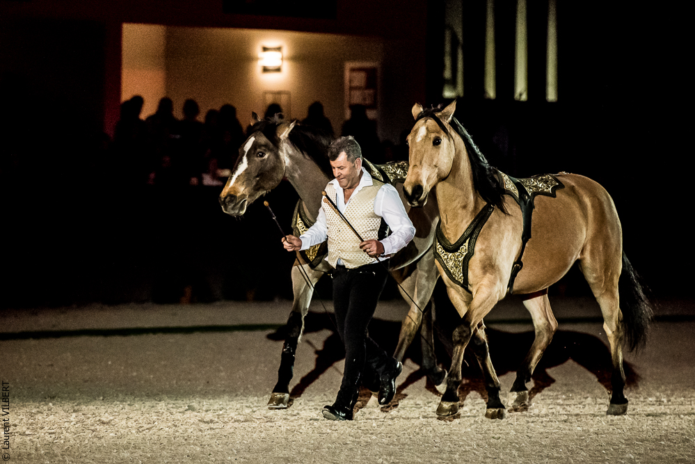 Nuit Iberique 20190207-2140