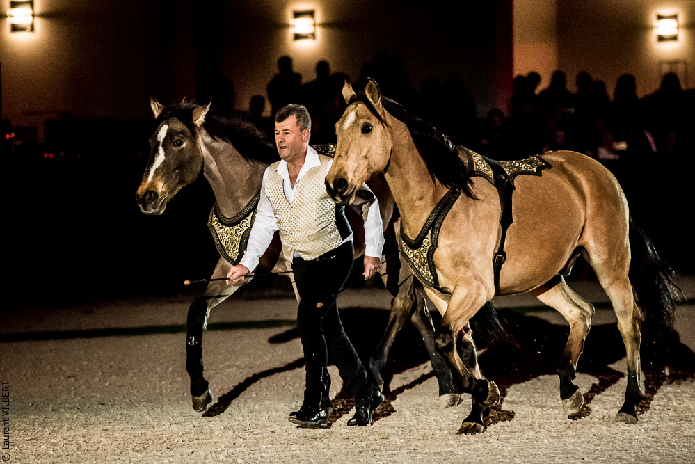 Nuit Iberique 20190207-2144