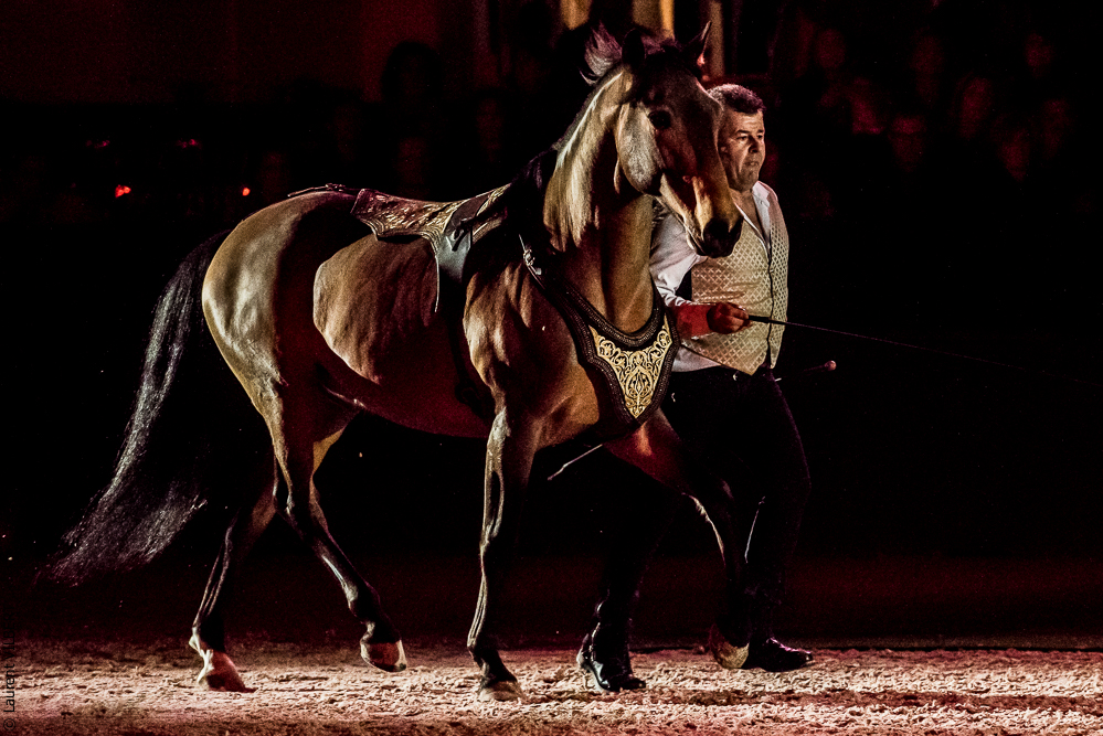 Nuit Iberique 20190207-2150