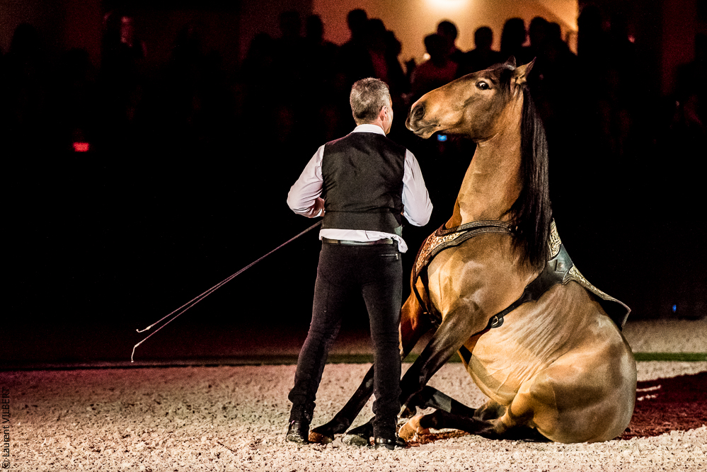 Nuit Iberique 20190207-2157