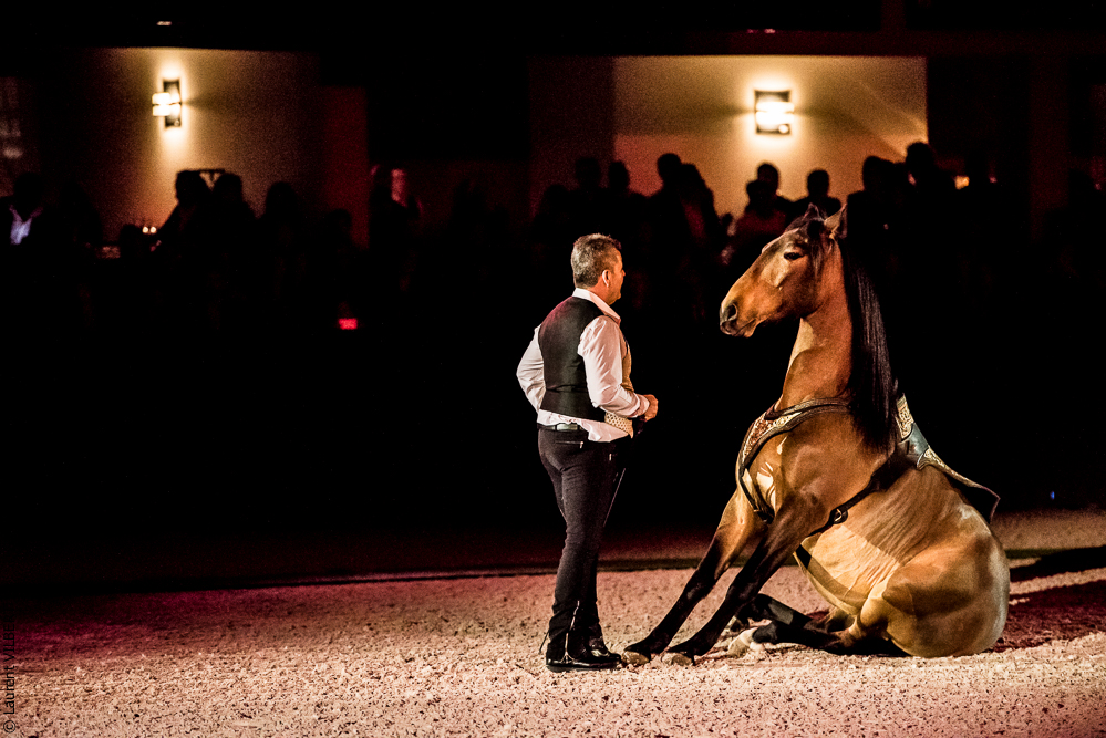 Nuit Iberique 20190207-2160