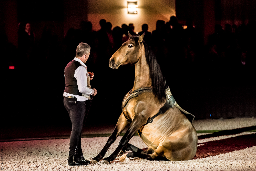 Nuit Iberique 20190207-2164