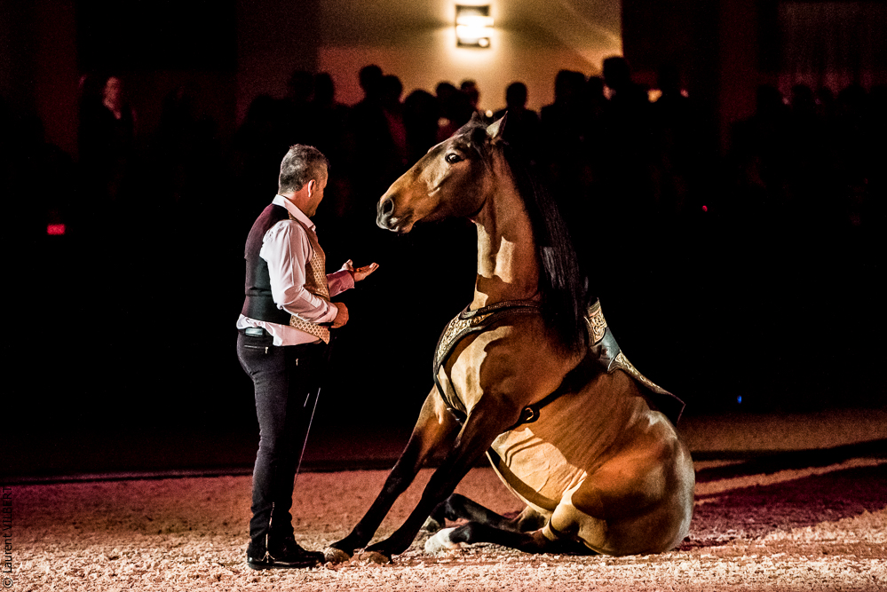 Nuit Iberique 20190207-2166