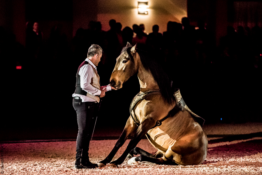 Nuit Iberique 20190207-2167