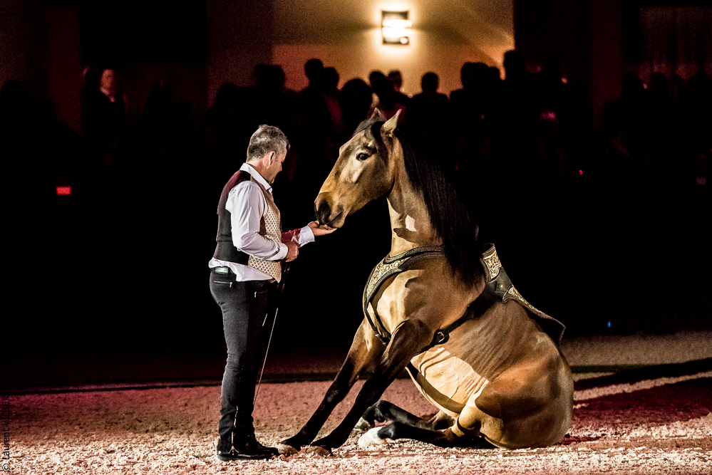 Nuit Iberique 20190207-2170