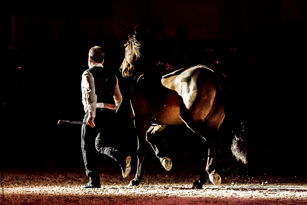 Nuit Iberique 20190207-2177