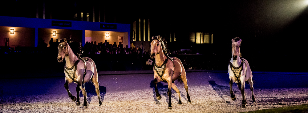 Nuit Iberique 20190207-2196