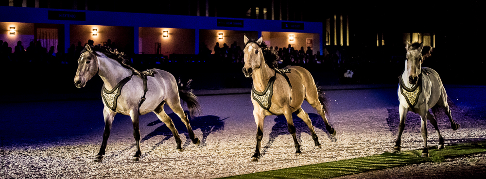 Nuit Iberique 20190207-2197