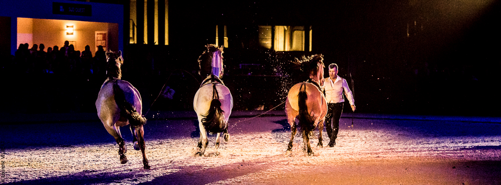 Nuit Iberique 20190207-2205