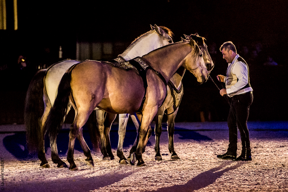 Nuit Iberique 20190207-2210