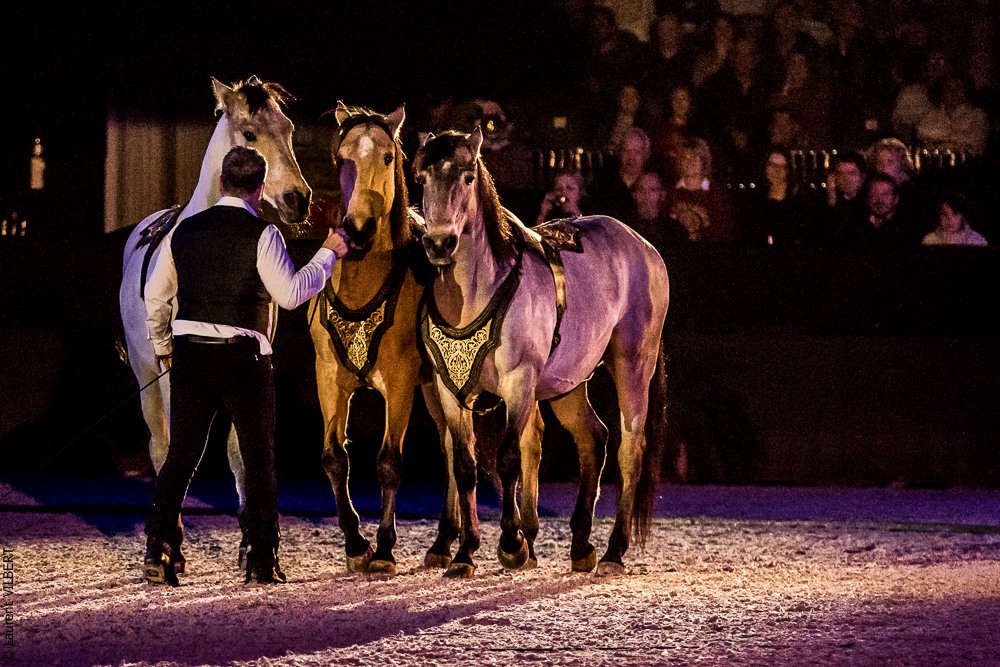 Nuit Iberique 20190207-2219