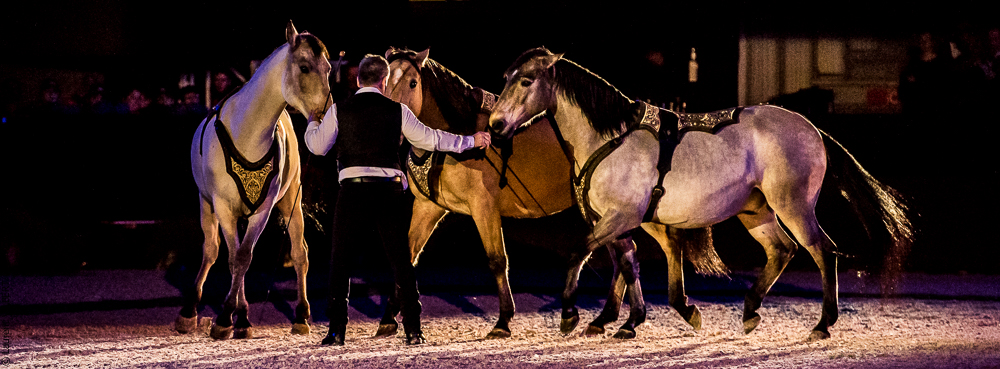 Nuit Iberique 20190207-2220