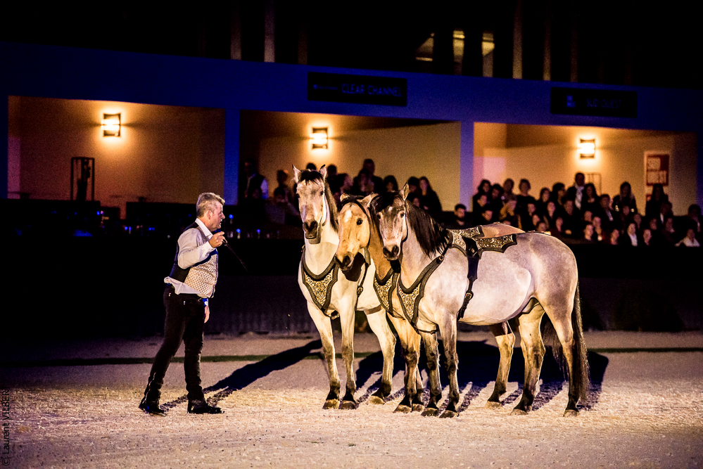 Nuit Iberique 20190207-2234