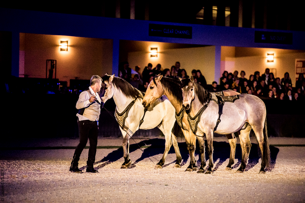 Nuit Iberique 20190207-2236