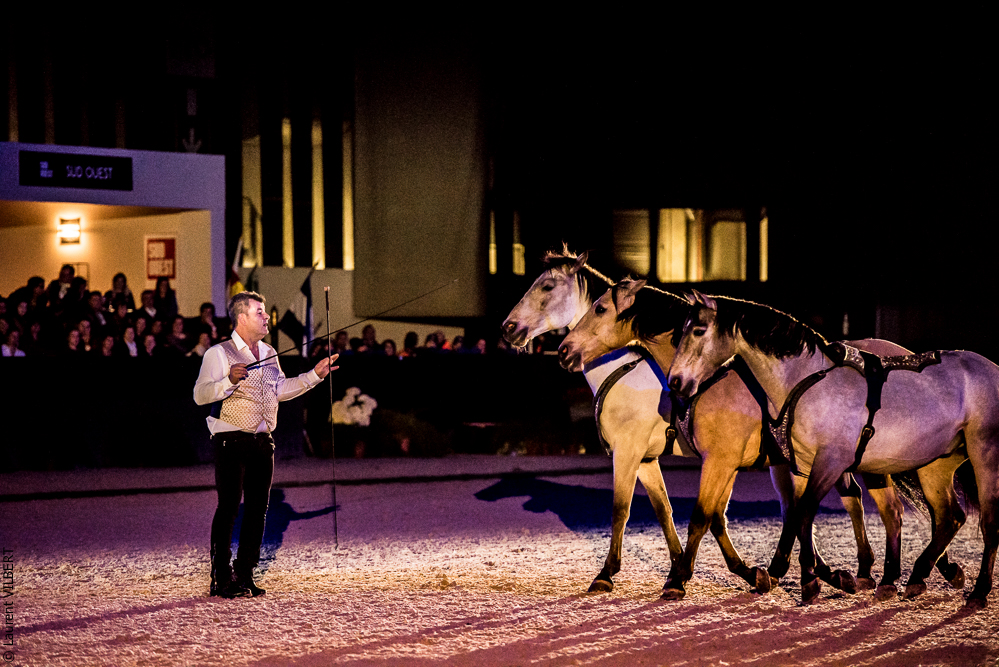 Nuit Iberique 20190207-2241