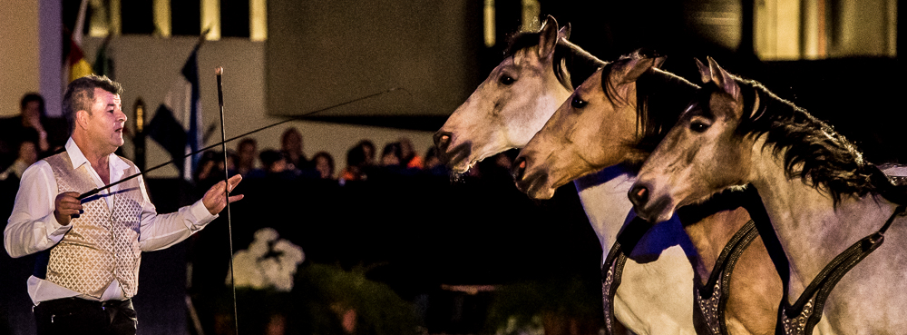 Nuit Iberique 20190207-2242