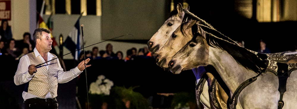 Nuit Iberique 20190207-2243