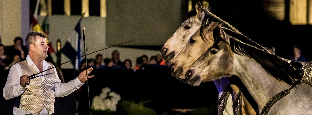 Nuit Iberique 20190207-2243