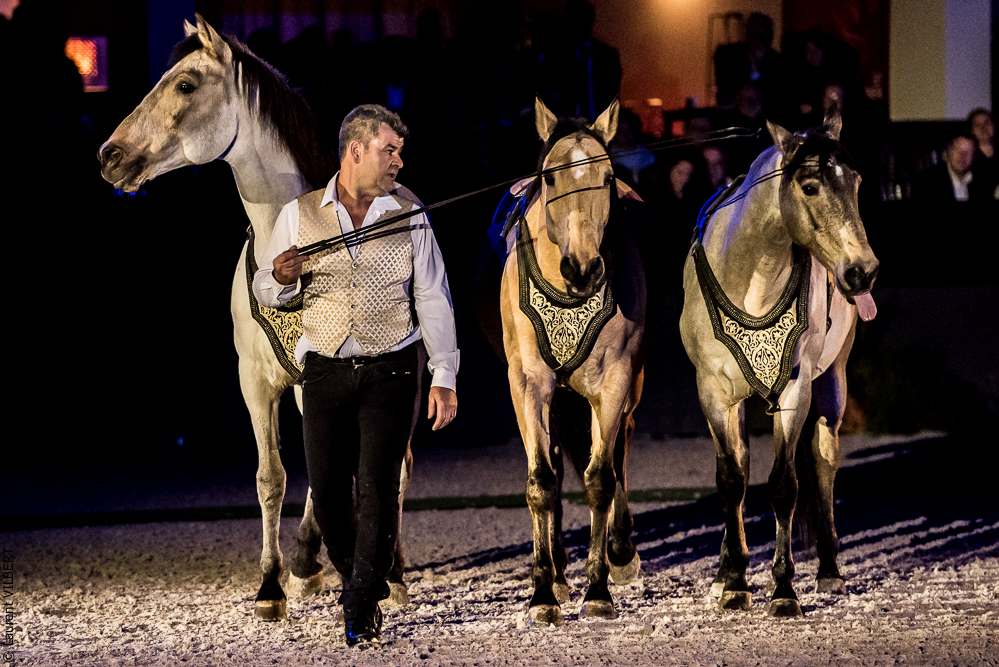 Nuit Iberique 20190207-2252