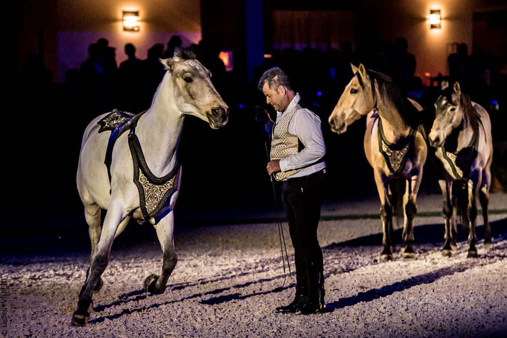 Nuit Iberique 20190207-2257