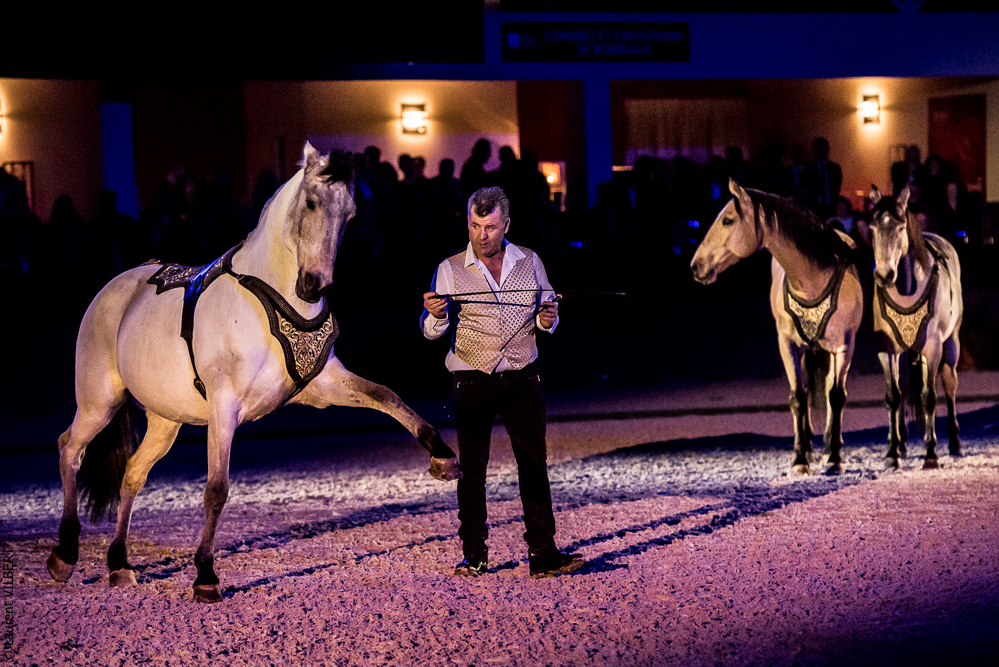 Nuit Iberique 20190207-2261