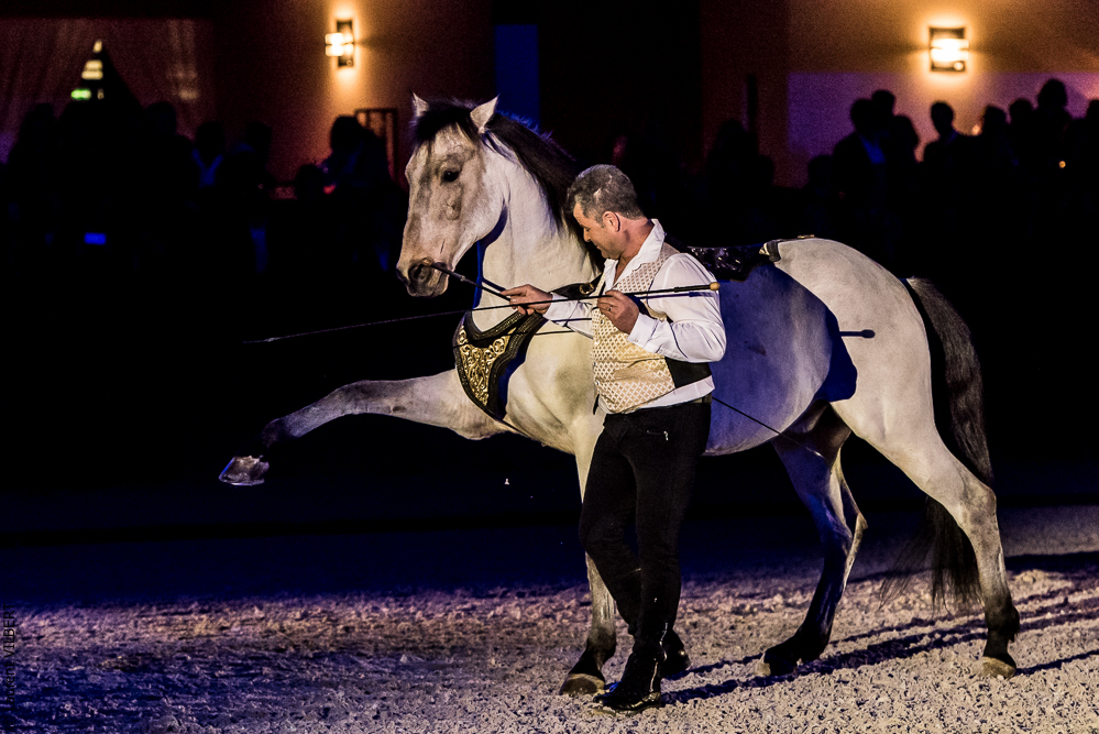 Nuit Iberique 20190207-2267