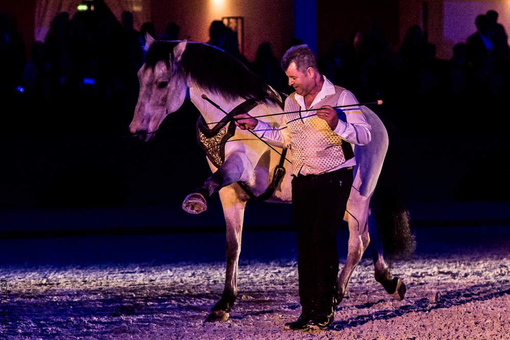 Nuit Iberique 20190207-2268