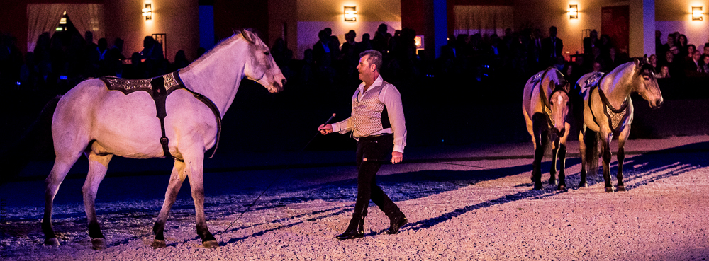 Nuit Iberique 20190207-2272