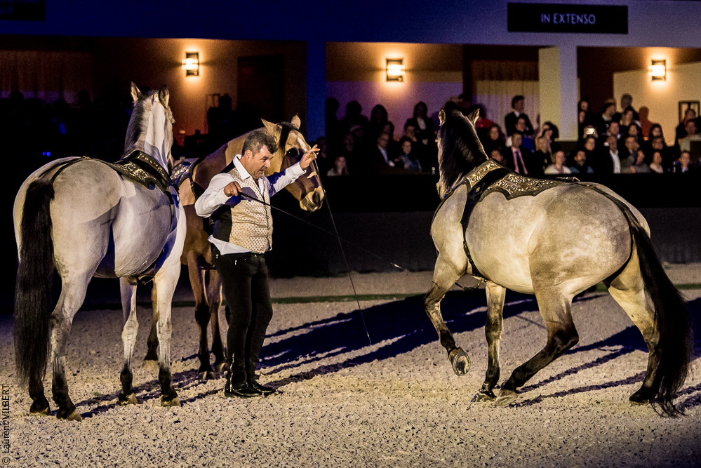 Nuit Iberique 20190207-2276