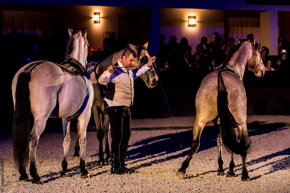 Nuit Iberique 20190207-2277