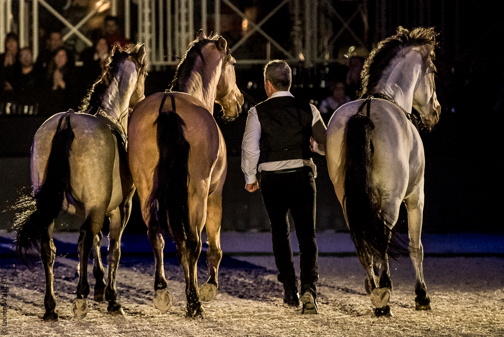 Nuit Iberique 20190207-2289