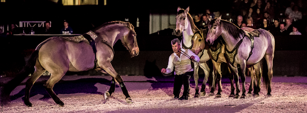 Nuit Iberique 20190207-2295