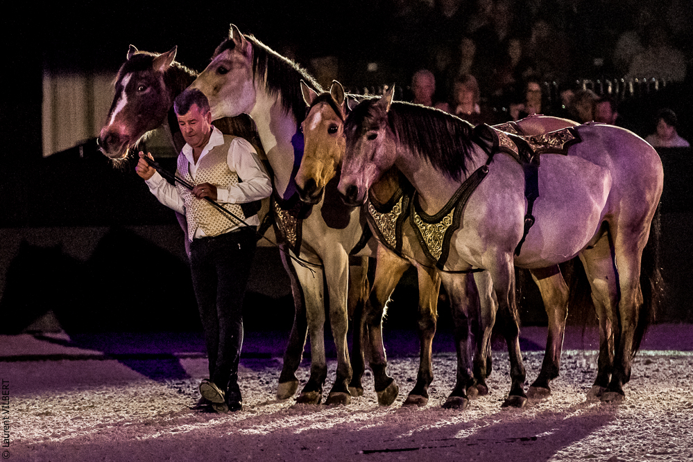 Nuit Iberique 20190207-2298