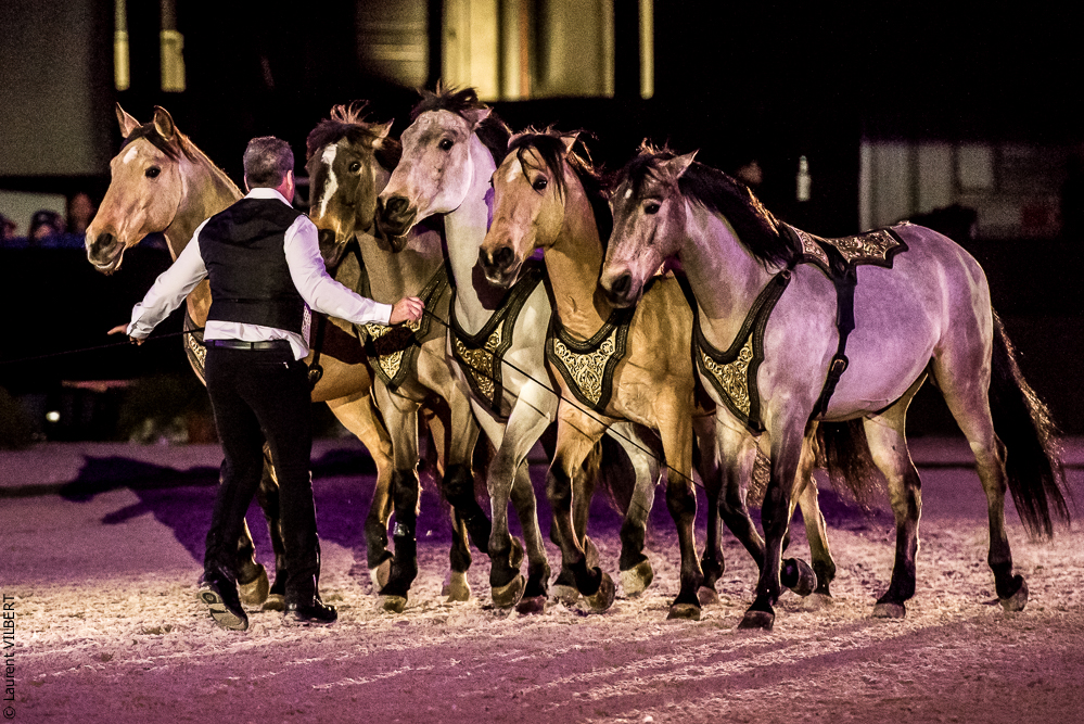 Nuit Iberique 20190207-2303
