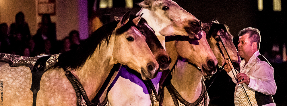 Nuit Iberique 20190207-2308